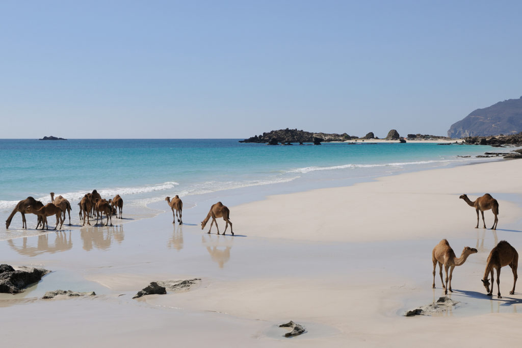 Strand von Oman