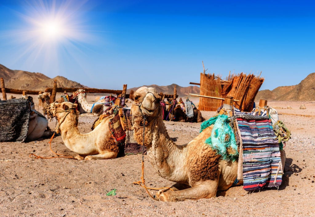 Wüste von Oman