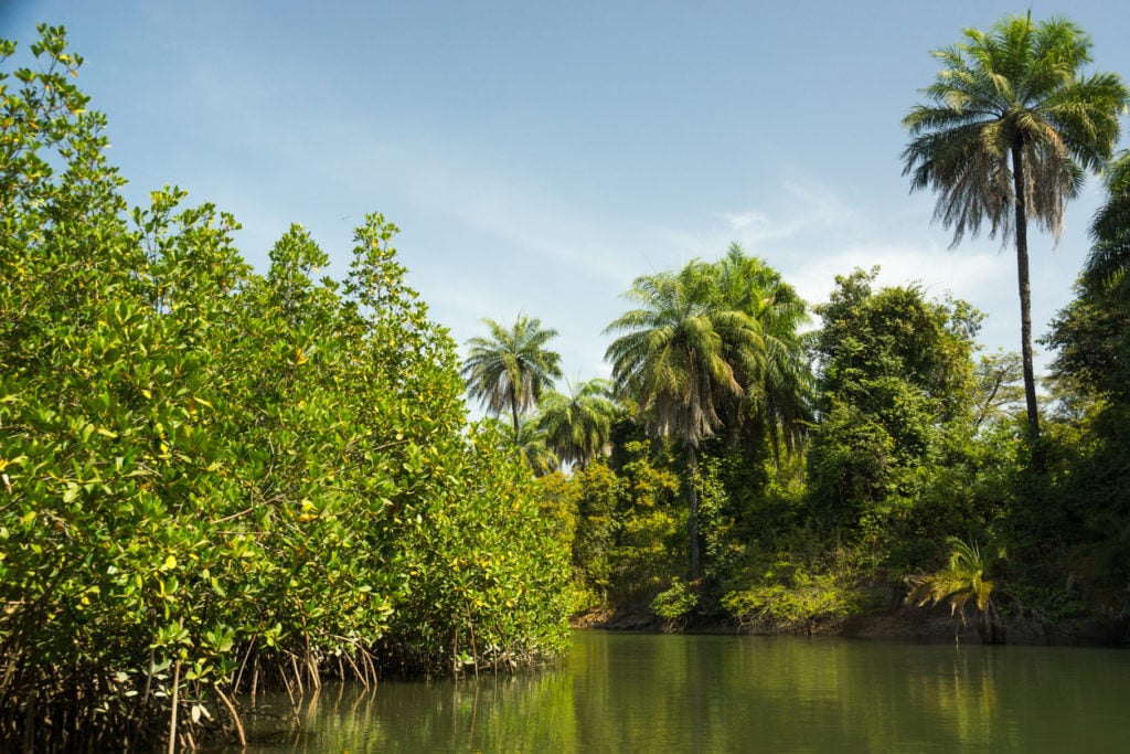 Naturlandschaften am Gambia Fluss