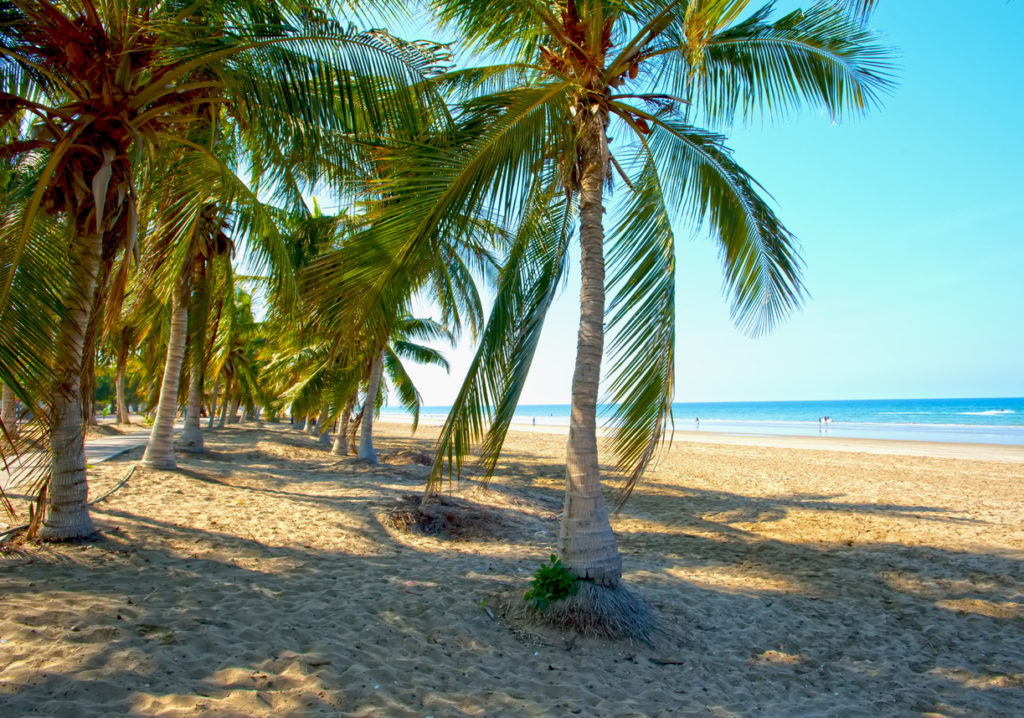 Sandstrand mit Palmen in Oman