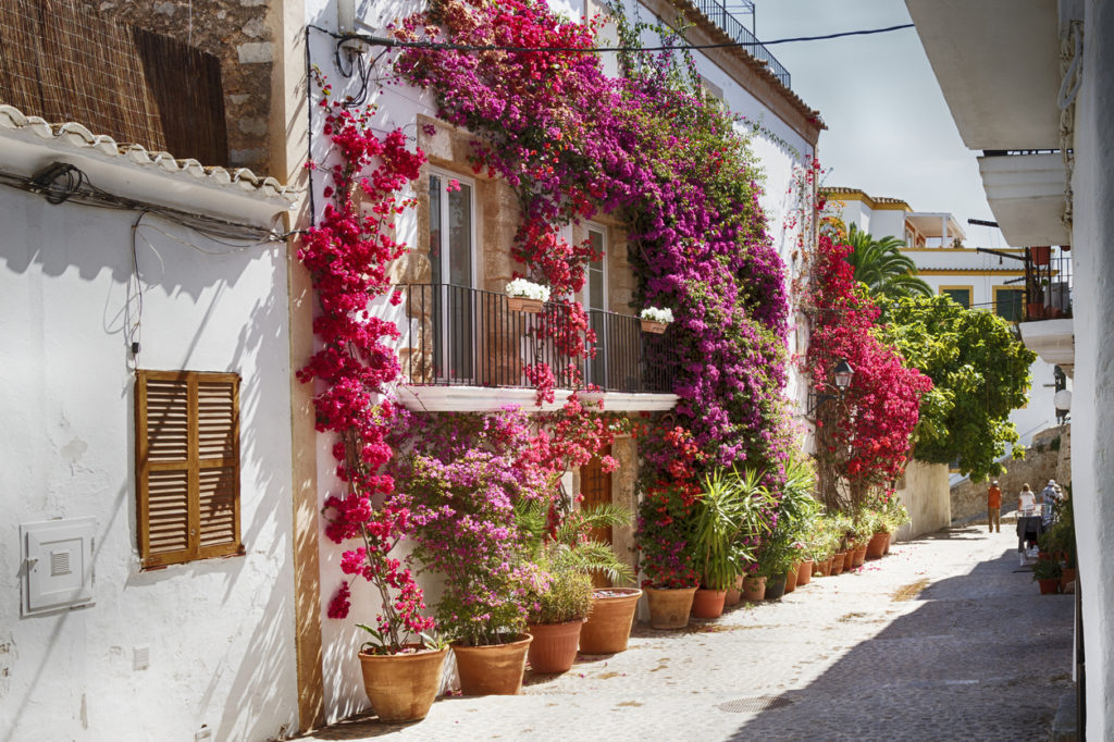 Traditionelle Häuser auf Ibiza