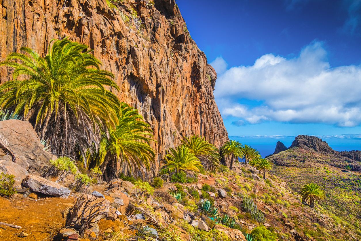 Urlaub auf La Palma | Kanaren