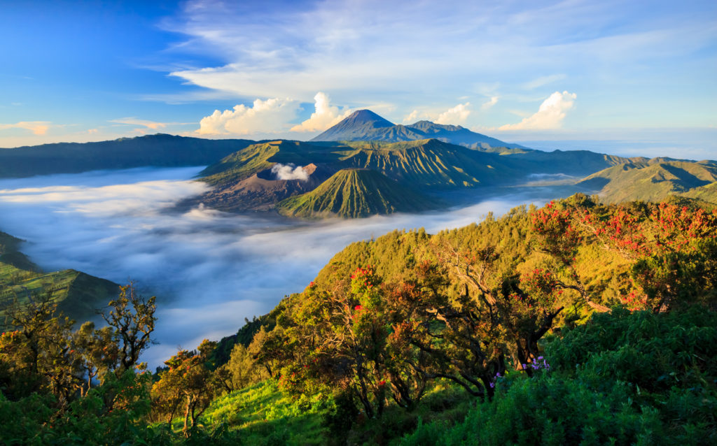 Vulkan Mount Bromo auf Java, Indonesien