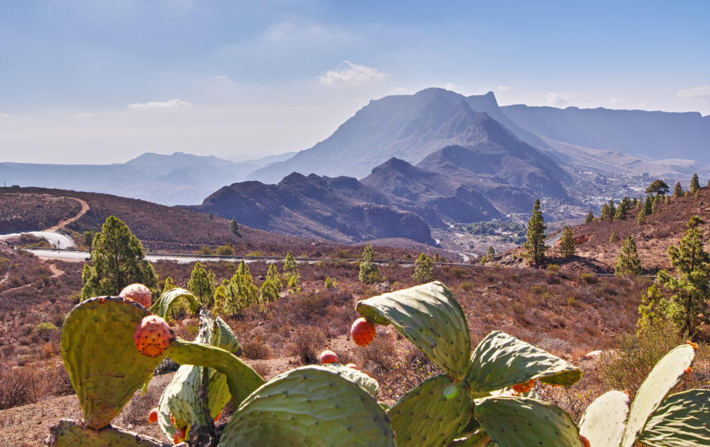 Landschaft von Gran Canaria