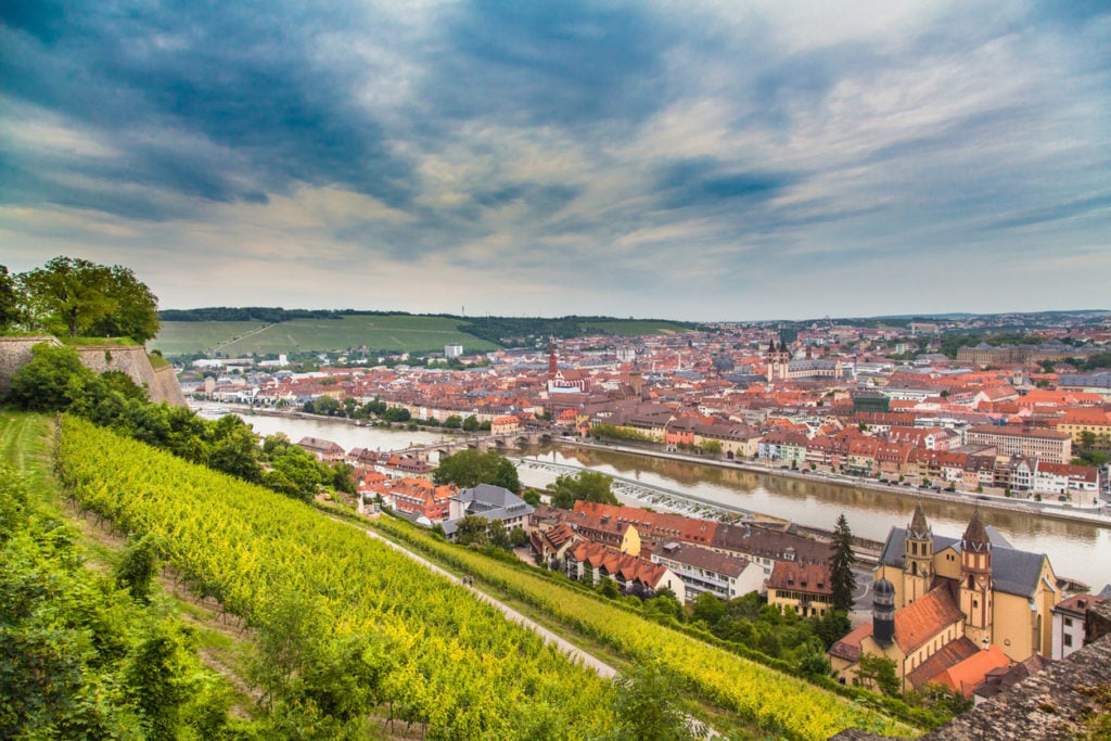 Weinanbau in Würzburg mit Blick auf die Altstadt, Deutschland