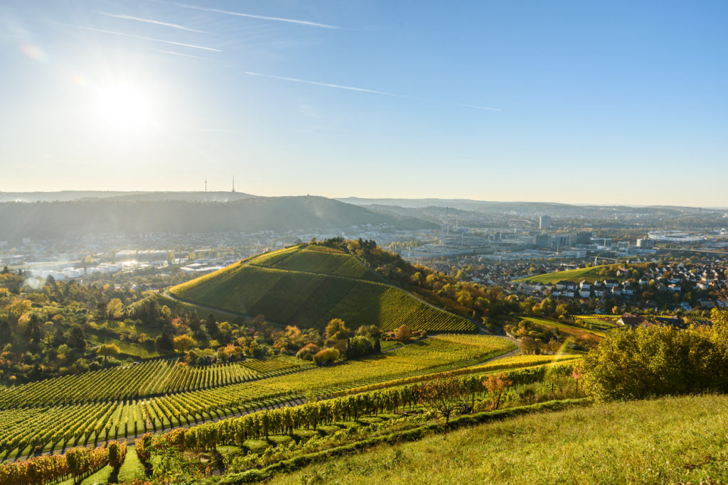 Weingebiet in Stuttgart, Deutschland