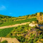 Weinregionen in Deutschland: Fakten, Weingüter, Aktivitäten