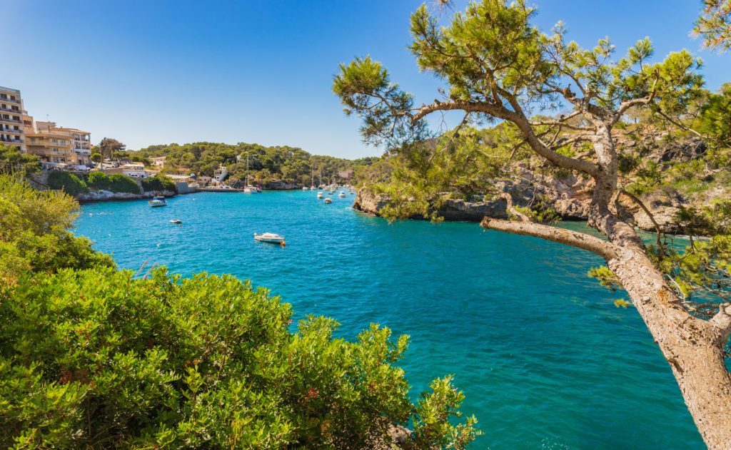 Ausblick auf das idyllische Cala Figuera, Mallorca