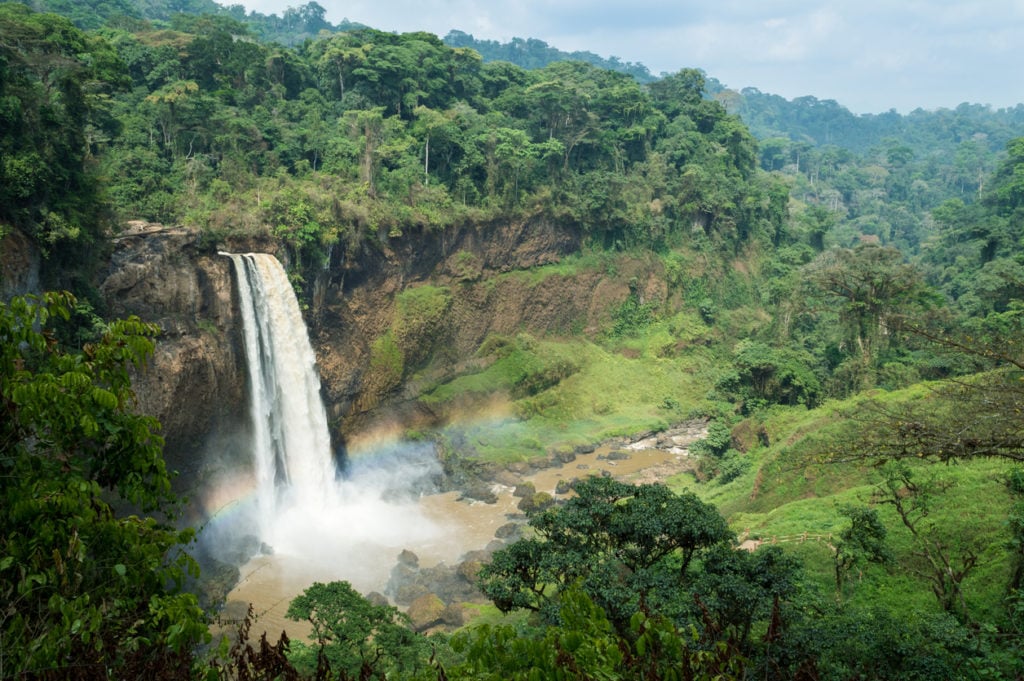 Die Ekom Wasserfälle in Kamerun