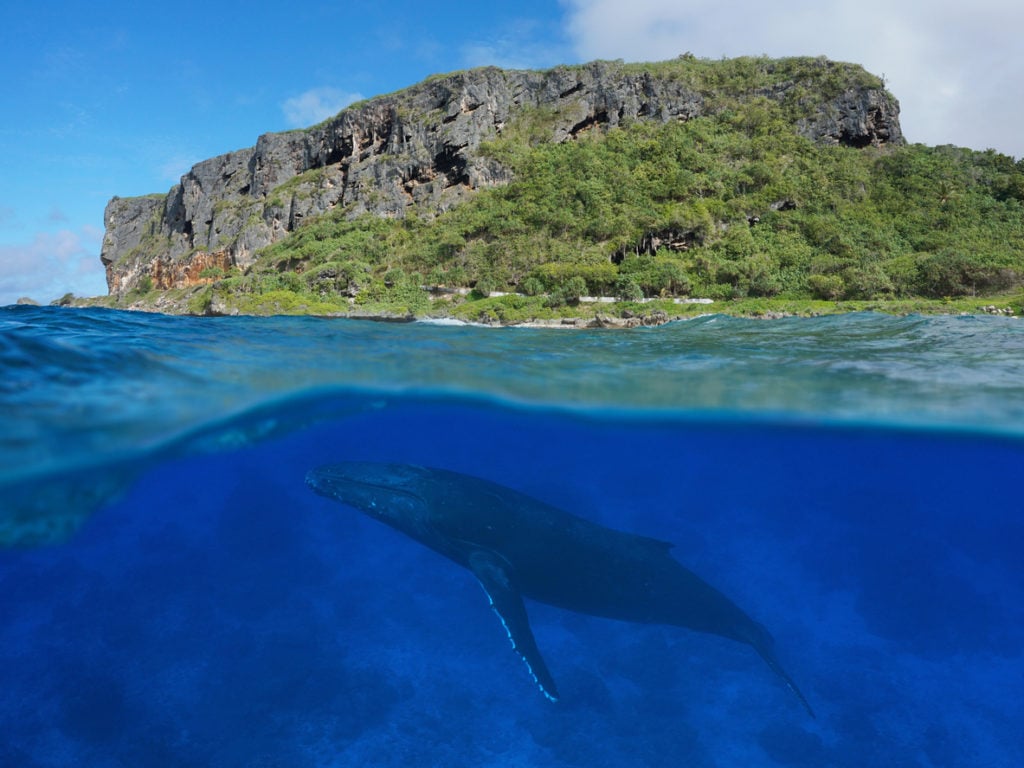 Mejor época para alucinar Polinesia Francesa &#8211; tiempo y clima de un vistazo