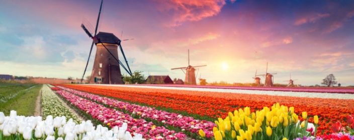 Die besten Ferienparks in Holland