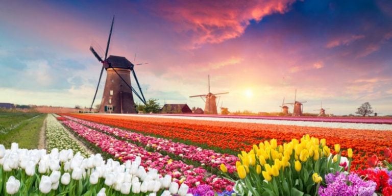 Die besten Ferienparks in Holland