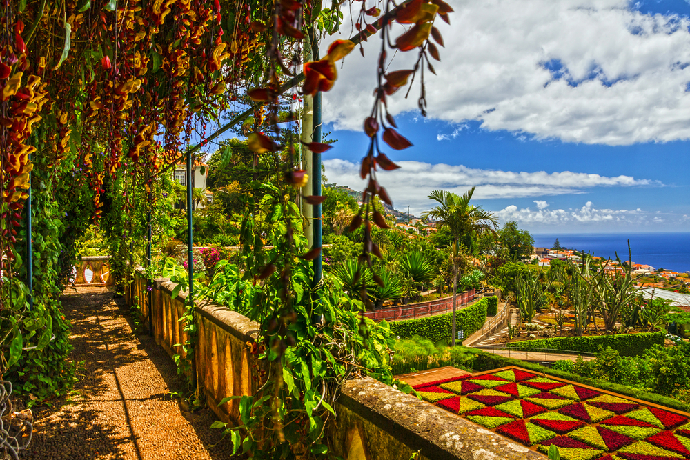 Der botanische Garten von Monte auf Madeira