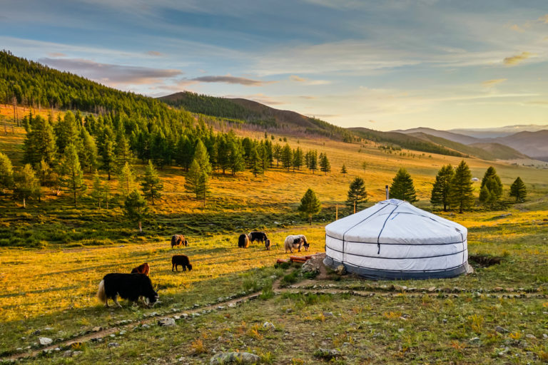 Beste Reisezeit Mongolei