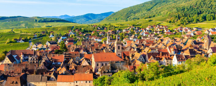 Blick auf Riquewihr
