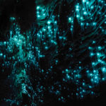 Glühwürmchen-Höhle in Neuseeland