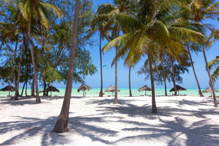 Palmen am Paje Beach auf Sansibar