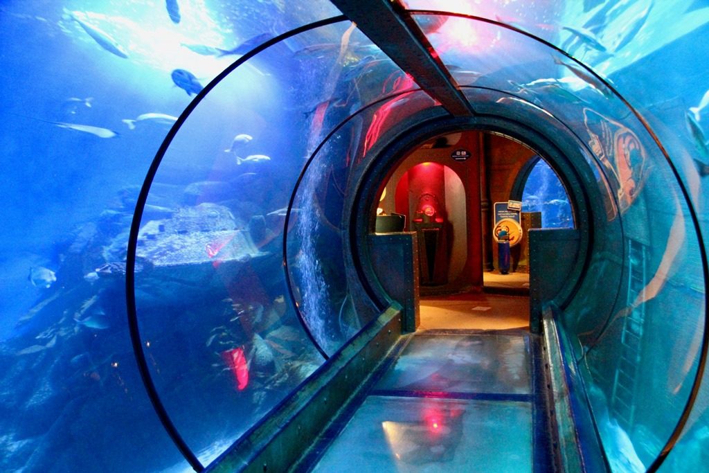 sea life berlin tunnel