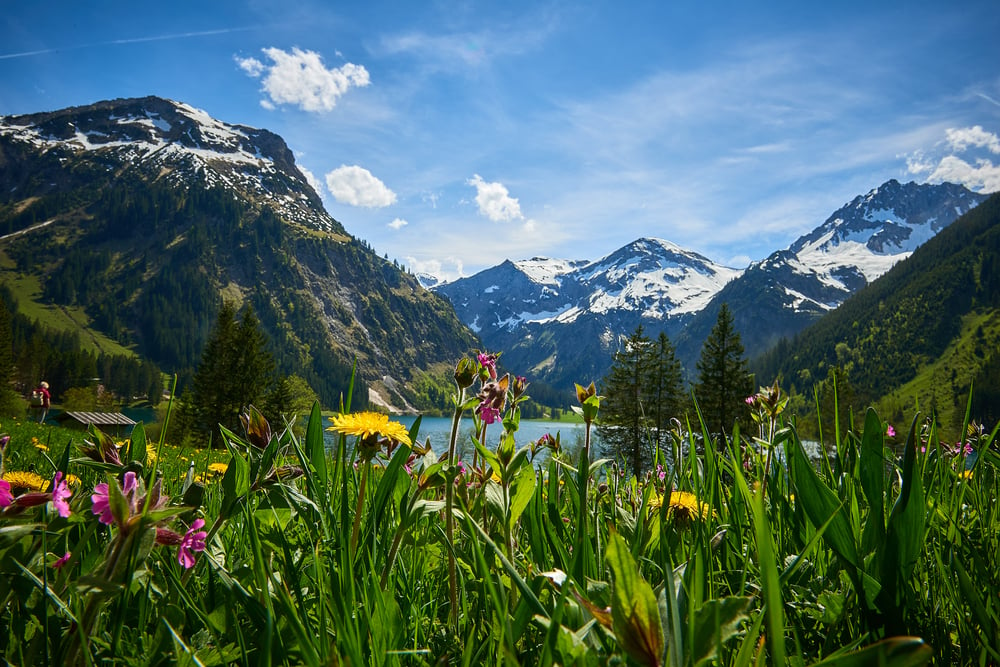Naturschutzgebiet Vilsalpsee, Tirol