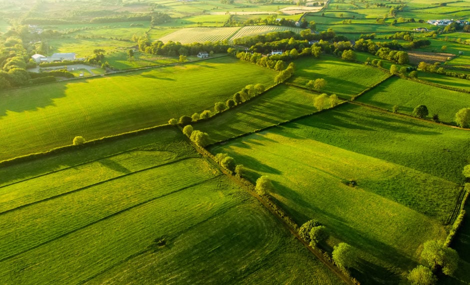 Grüne Landschaft Irlands