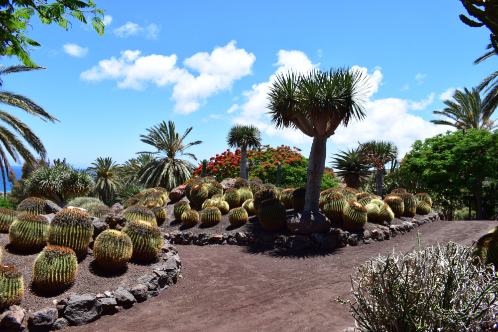 Botanischer Garten im Oasis Park, Fuerteventura