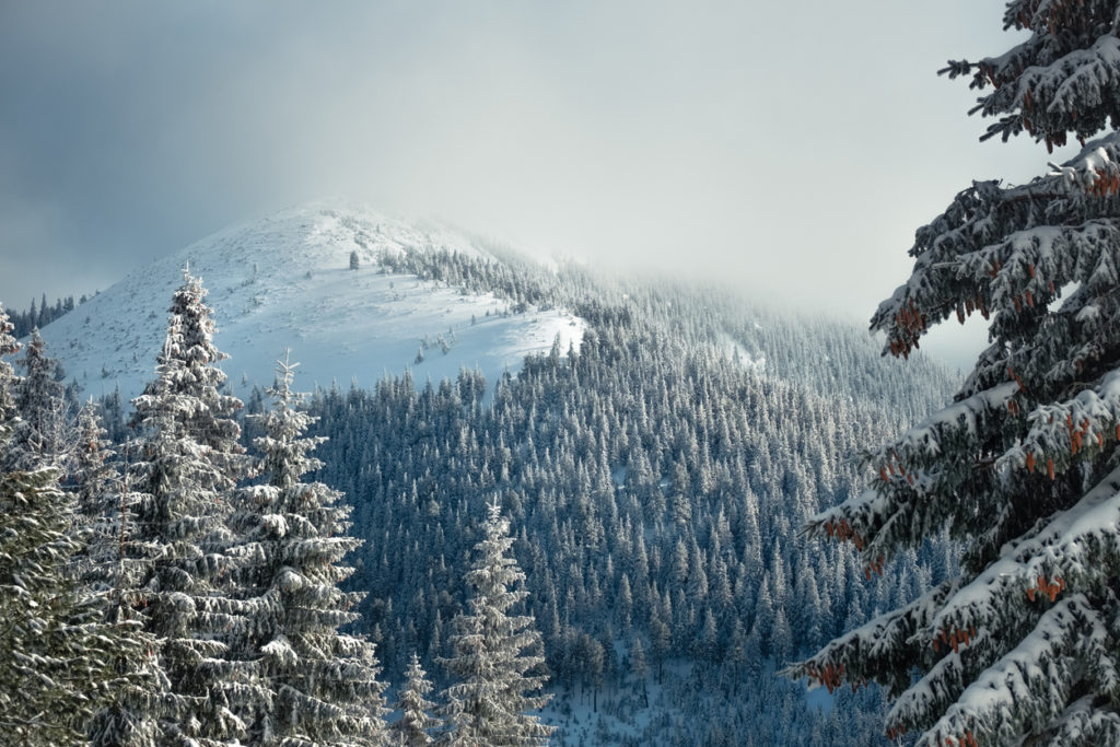 Kurzreise nach Schweden