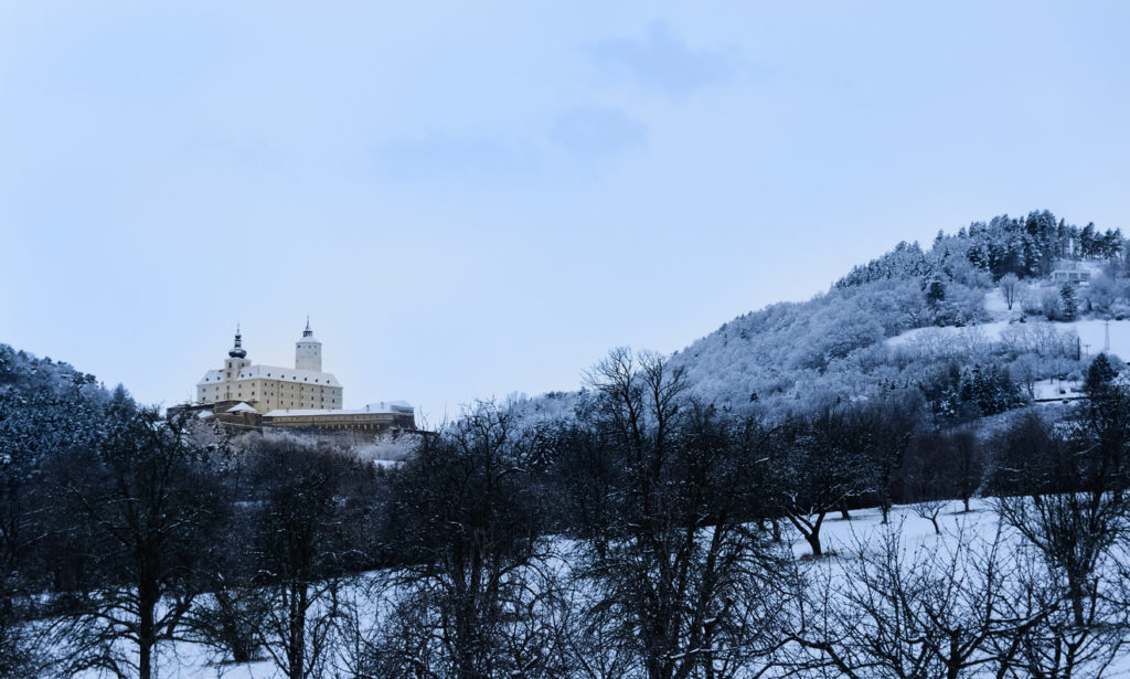 Consejos de Burgenland: fascinantes castillos, naturaleza y viñedos (2023)