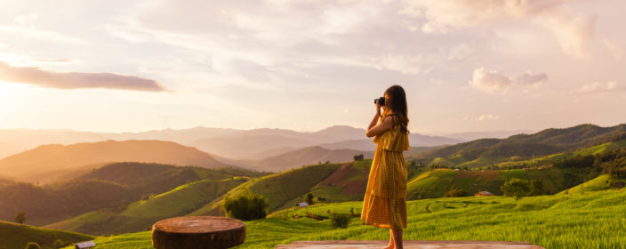 Grüne Reisterrassen in Chiang Mai