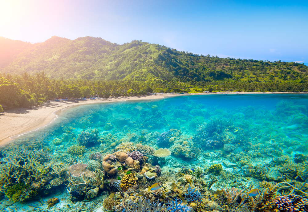 Tropische Küste von Lombok