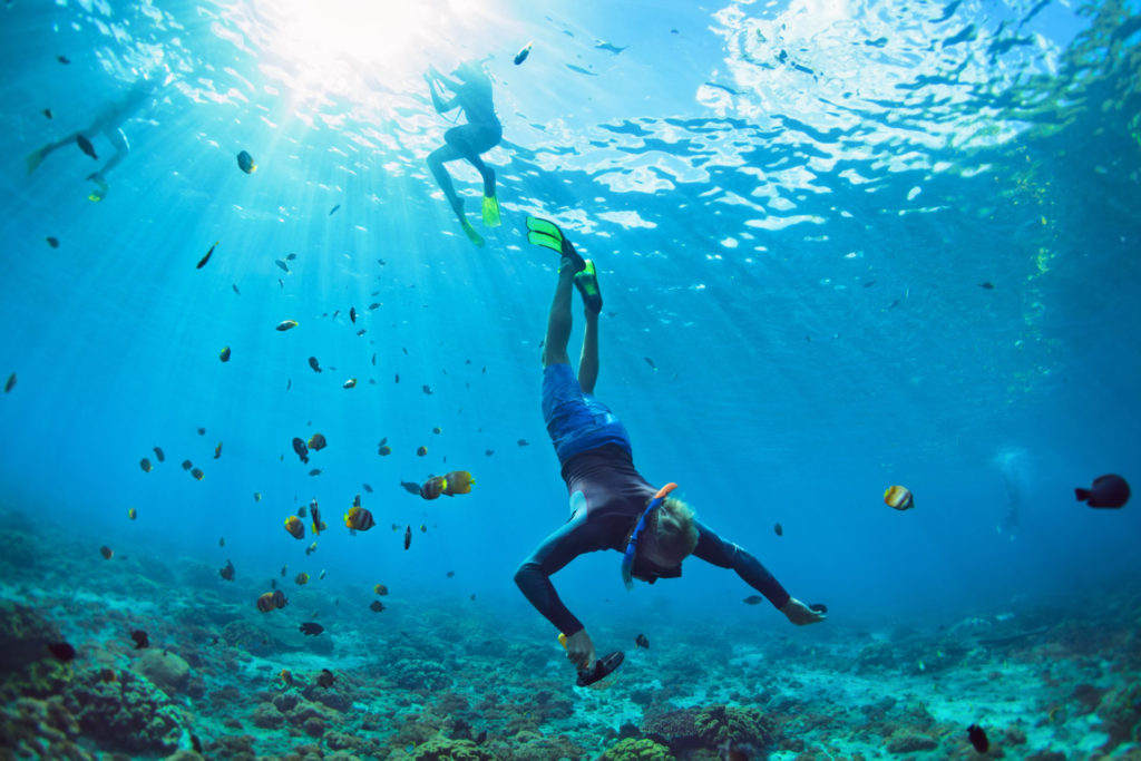 Inmersión en Gran Canaria – Los 6 mejores lugares para bucear en las Islas Canarias