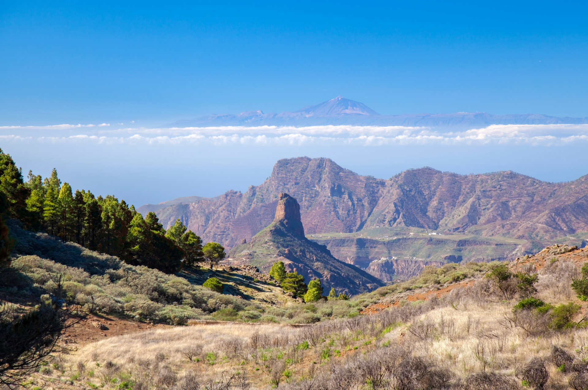 Wandern Auf Gran Canaria - Top Wanderwege Für Euren Aktivurlaub 2024