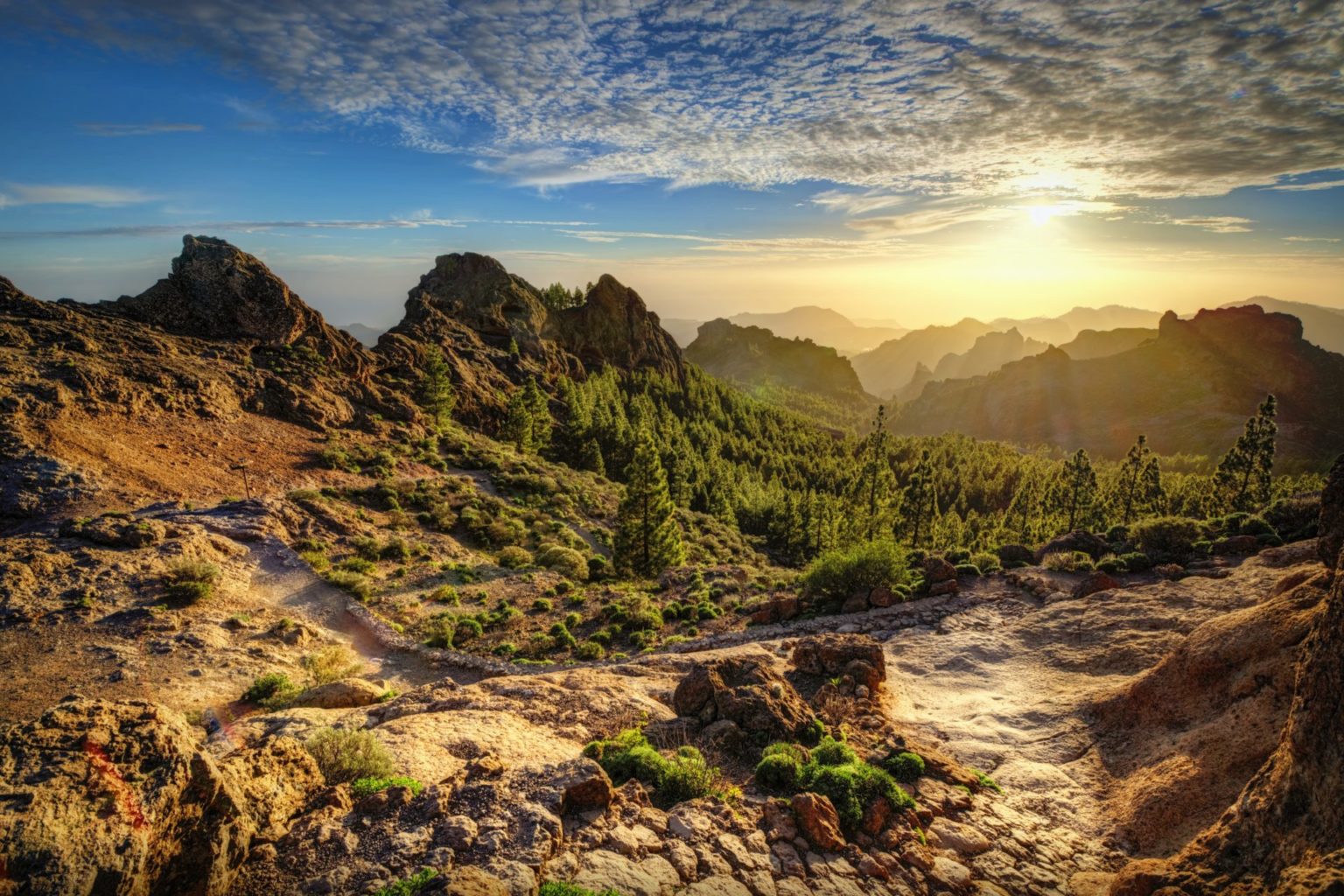 Wandern Auf Gran Canaria - Top Wanderwege Für Euren Aktivurlaub 2024