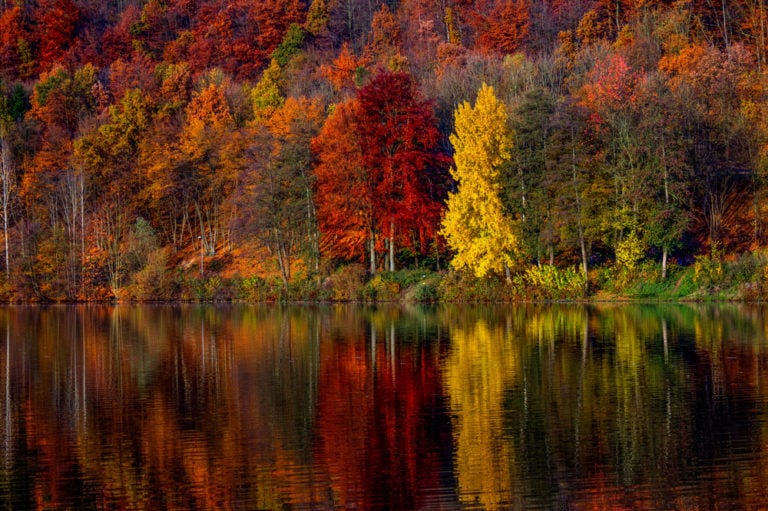 Herbst im Sauerland