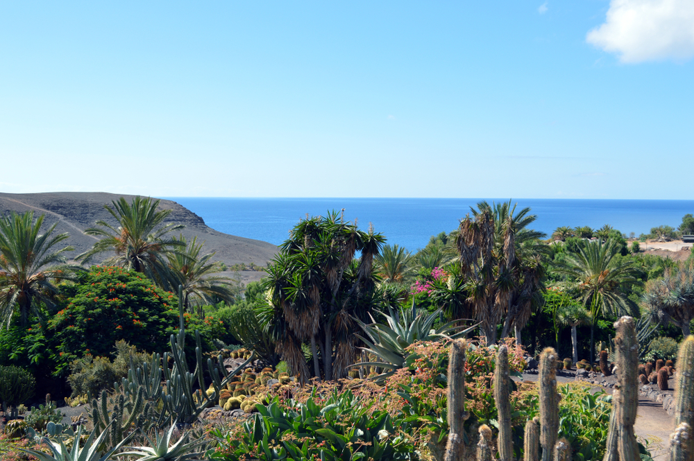 Jandia en Fuerteventura &#8211; la península multifacética y salvaje