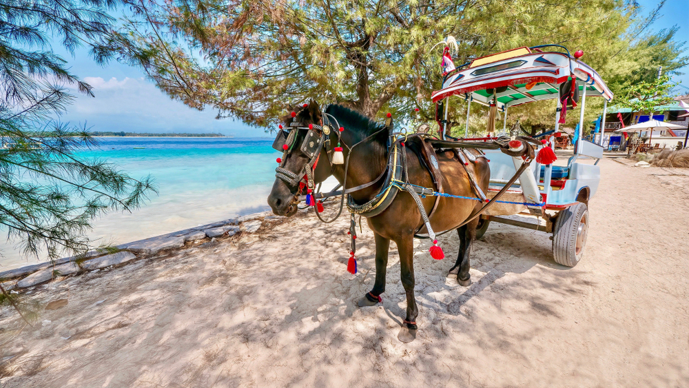 Eine Pferdekutsche auf den Gili Inseln