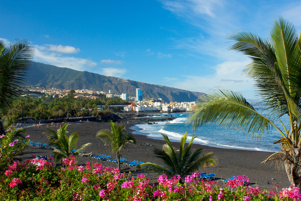 Tenerife Diving &#8211; Los 7 mejores sitios de profundización en la isla canaria más grande