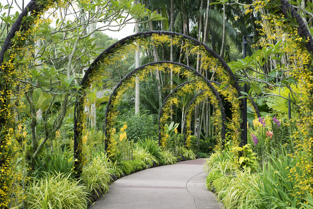Singapur, Botanischer Garten
