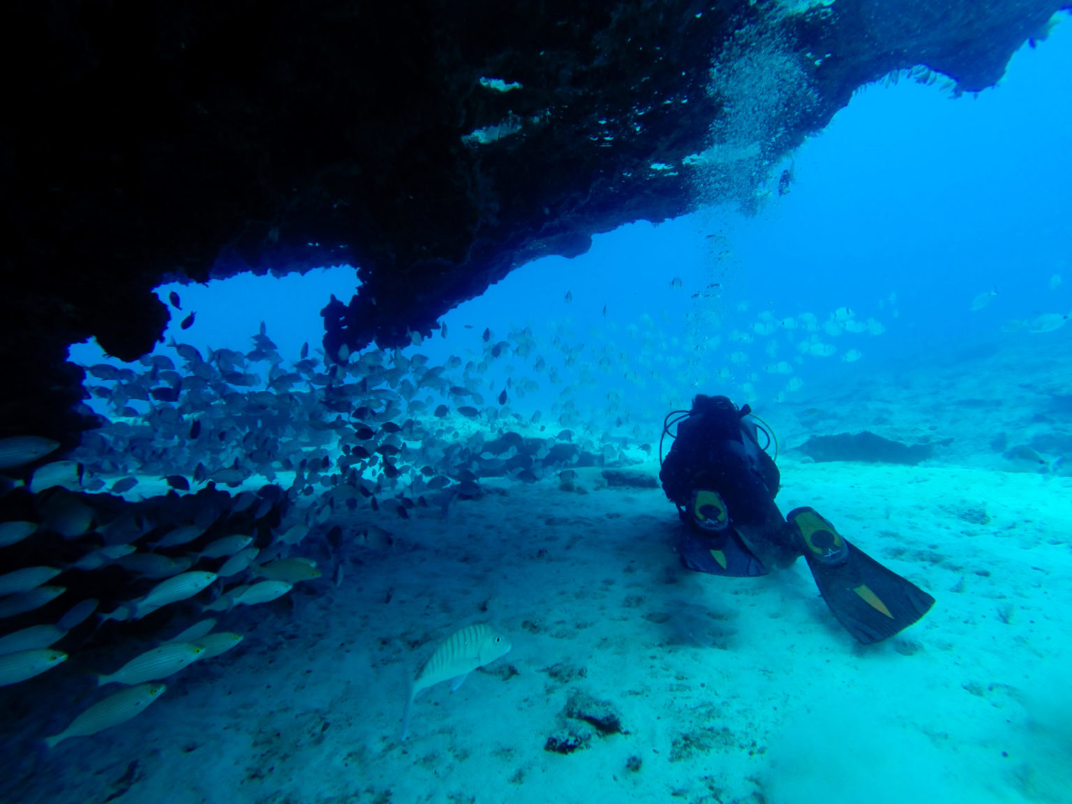 EXPERTOS En CONSEJOS Gran Barrera De Coral - INFO Y FOTOS