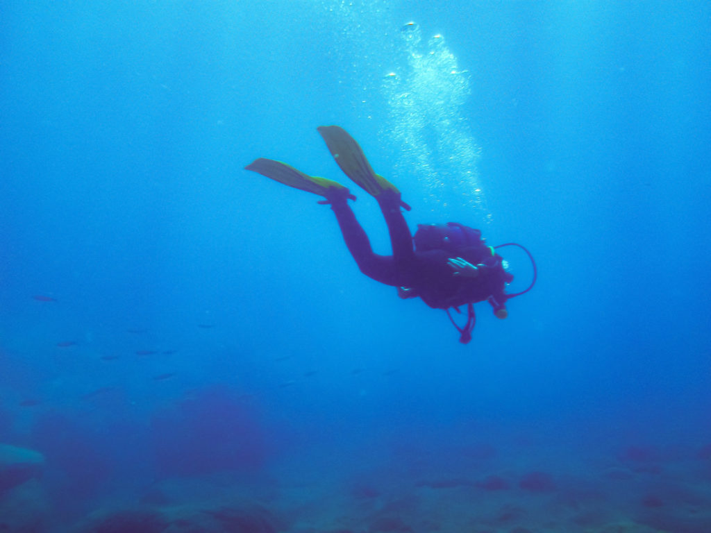 Tenerife Diving &#8211; Los 7 mejores sitios de profundización en la isla canaria más grande