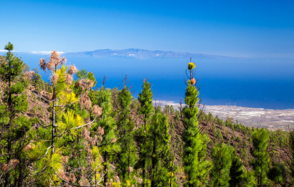 Tenerife senderismo – Las 9 mejores rutas de senderismo para tus receso activas en 2022
