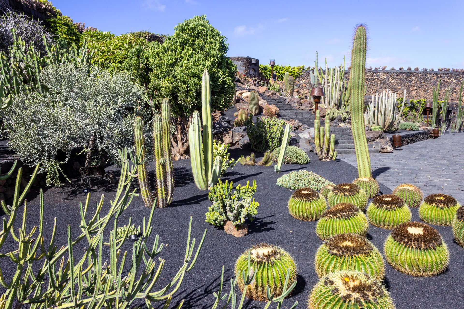 Der Jardín de Cactus, Lanzarote