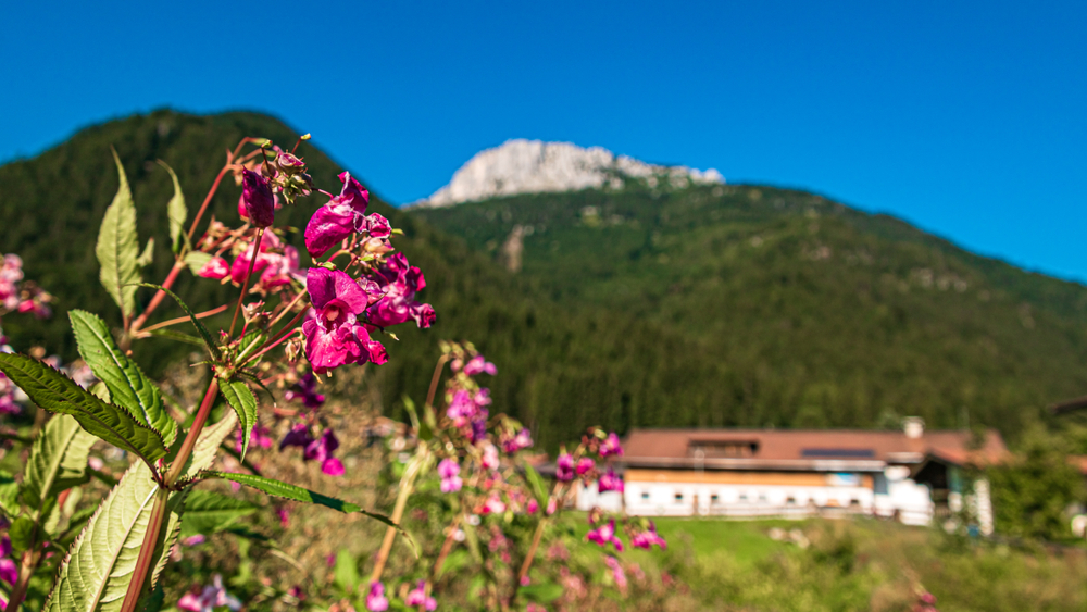Kurzurlaub in Österreich