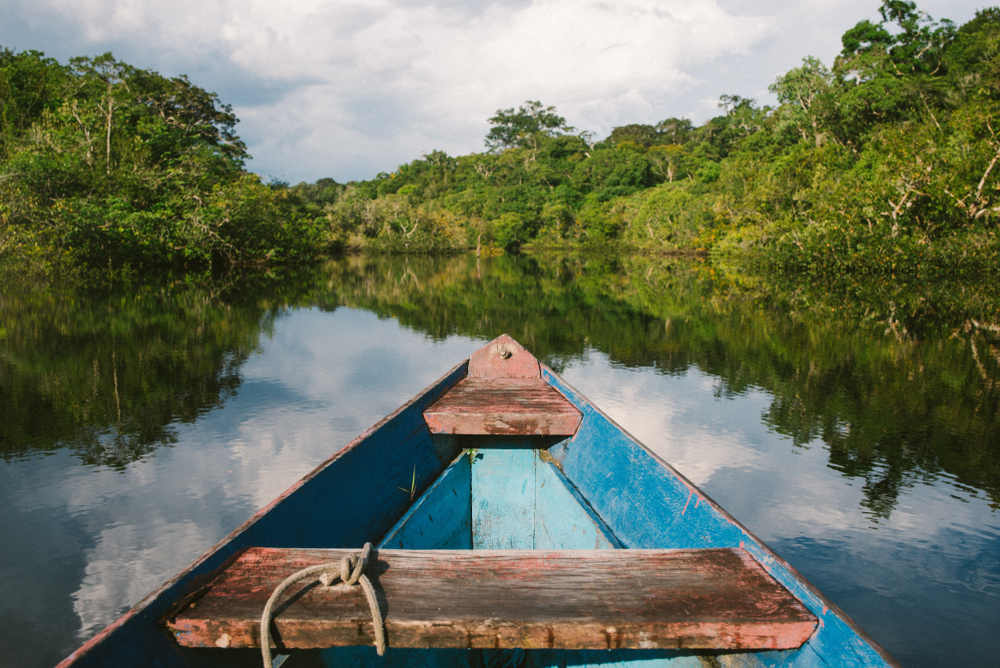 Brasilien, Dschungel, Manaus