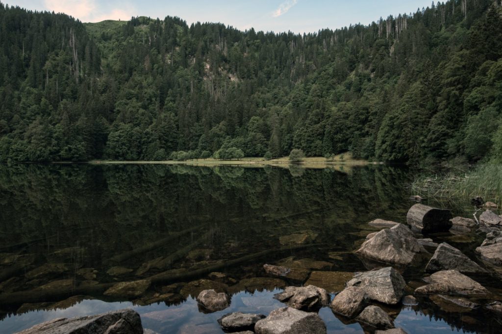 Schwarzwald, See, Deutschland
