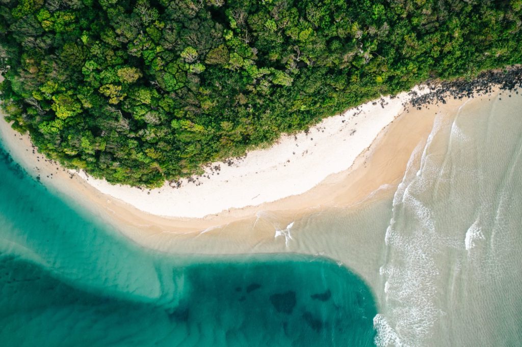 Los mejores consejos de Cairns para vacacionar en el paraíso tropical de Australia