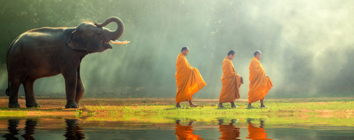 Elefant und Mönche in Thailand