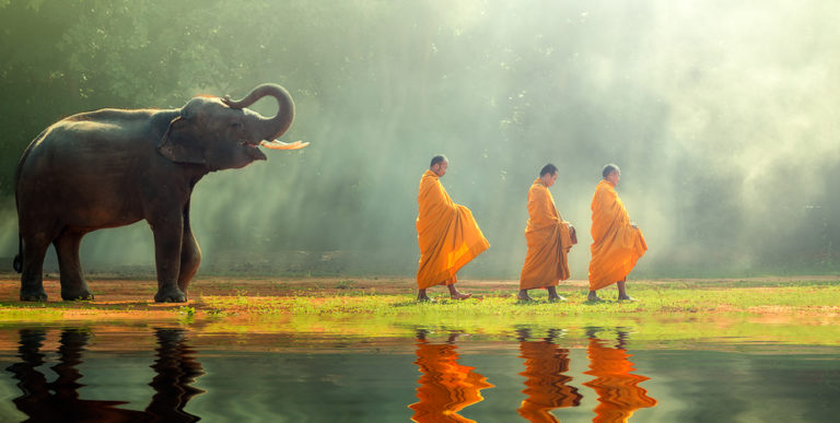 Elefant und Mönche in Thailand