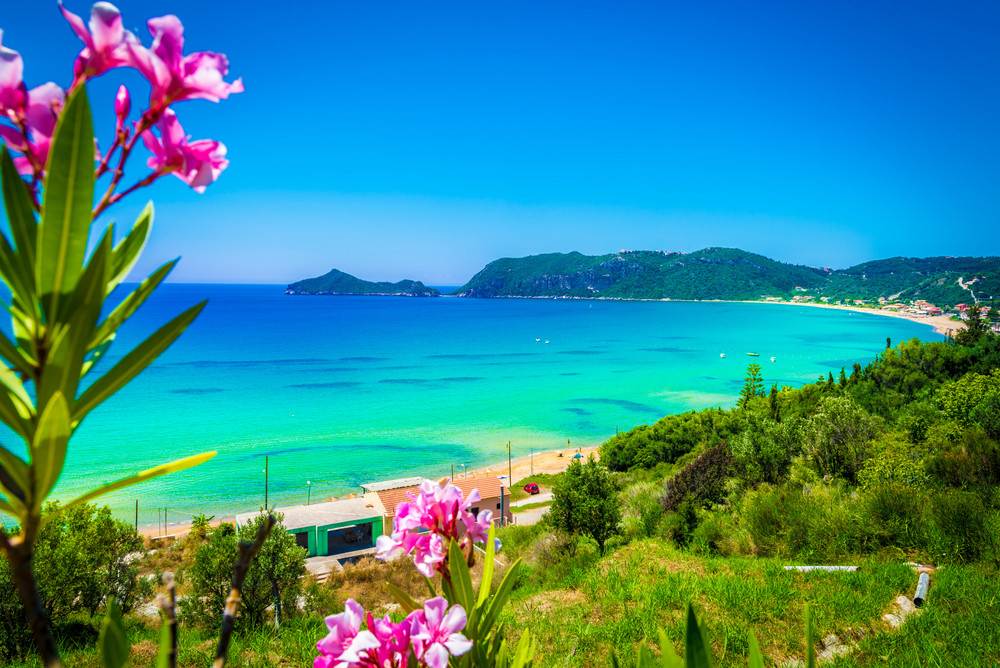 Strandpanorama in Agios Georgios auf Korfu, Blumen im Vordergrund, Bucht und grüne Hügel im Hintergrund