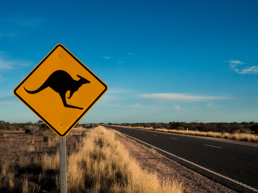 Ein Kangaroo-Schild auf einer Straße im australischen Outback