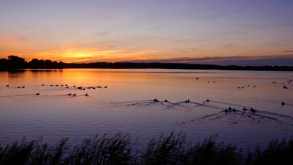 Sonnenuntergang Hohwachter Bucht, Ostsee